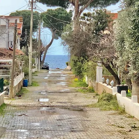 Villa Denize 200 Metre, 3+1 Bahceli Gümüldür
